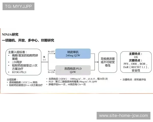 姚基金教师携手澳门篮球公益周共促跨地域教育与公益融合发展
