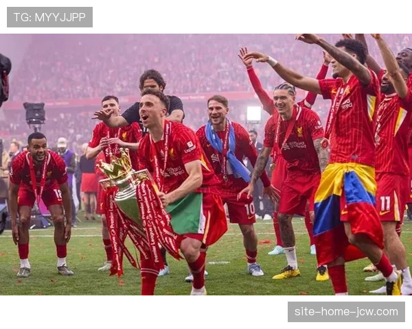 达尔文·努涅斯身价领跑 利雅得新月锋线价值体现